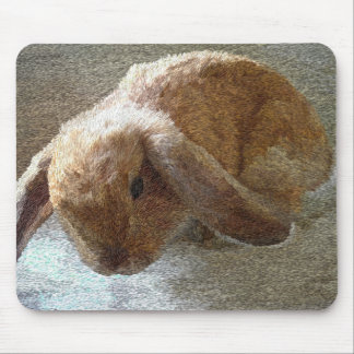 Tapis De Souris Lapin à oreilles de la Hollande Lop