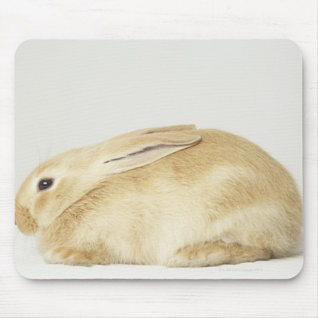 Tapis De Souris Lapin beige lapin sur arrière - plan blanc 4 (Devant)