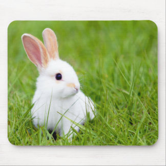 Tapis De Souris Lapin blanc