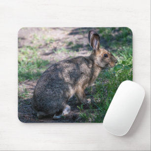 Tapis De Souris Lapin Brown, Repos dans la nature