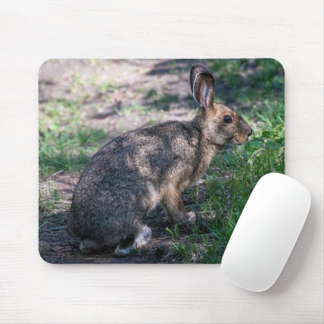 Tapis De Souris Lapin Brown, Repos dans la nature (Avec souris)