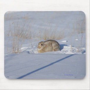 Tapis De Souris Lapin de lapin R5 dans la neige