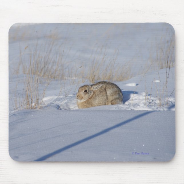 Tapis De Souris Lapin de lapin R5 dans la neige (Devant)