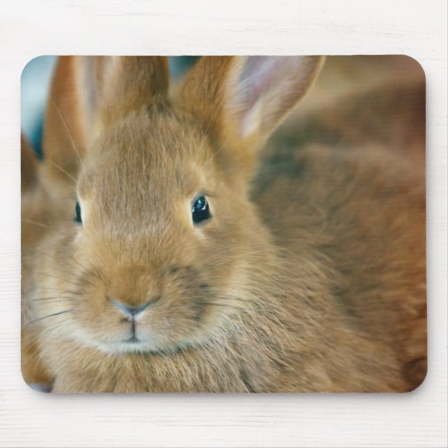 Tapis De Souris Lapin Lapin (Devant)