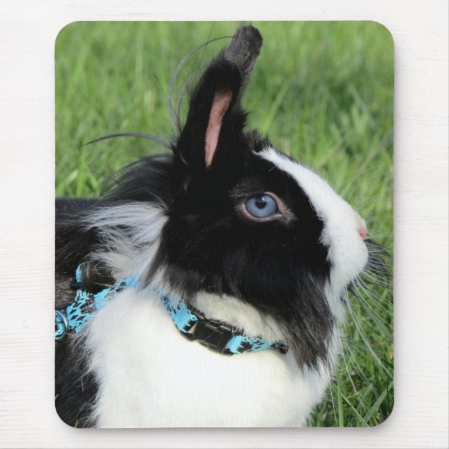 Tapis De Souris Lapin Lapin Lionhead noir et blanc Fluffy (Devant)