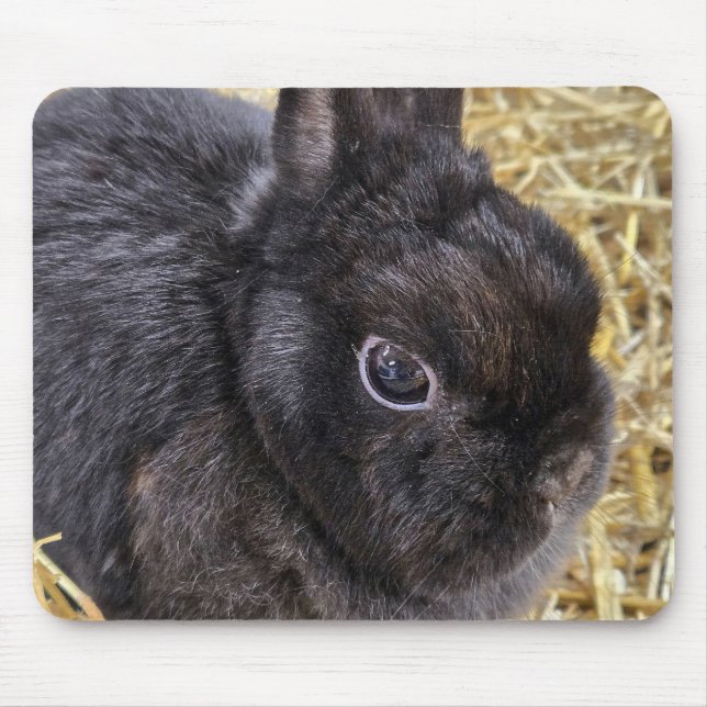 Tapis De Souris Lapin nain noir des Pays-Bas (Devant)