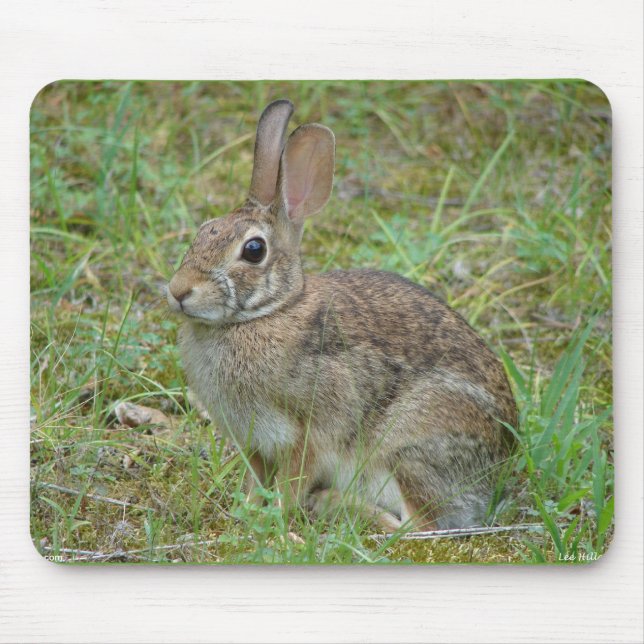Tapis De Souris Lapin sauvage Est Cottontail II Vêtements et cadea (Devant)