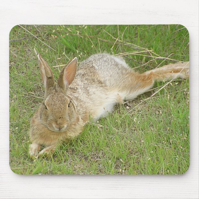 Tapis De Souris Lapin sur la coupure (Devant)