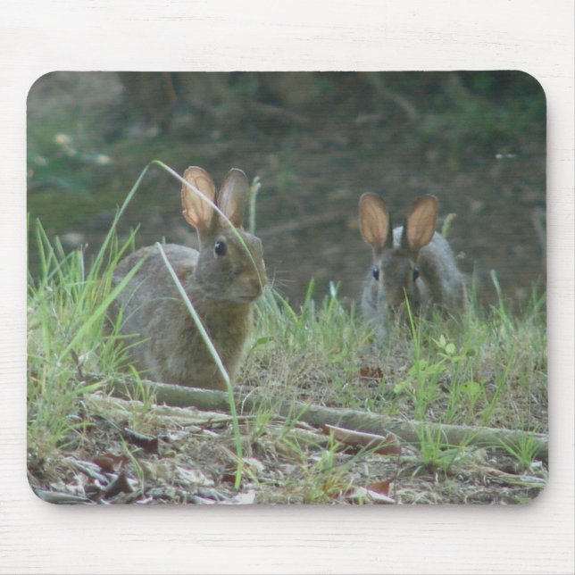 Tapis De Souris Lapins sauvages Cottontail Est Paire Vêtements Cad (Devant)