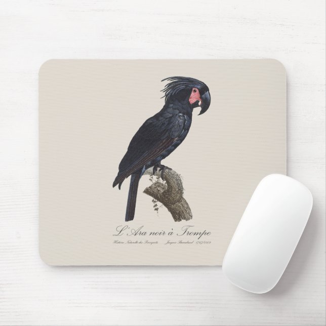 Tapis De Souris L'Ara Noir a Trompe / Palm Cockatoo (Avec souris)