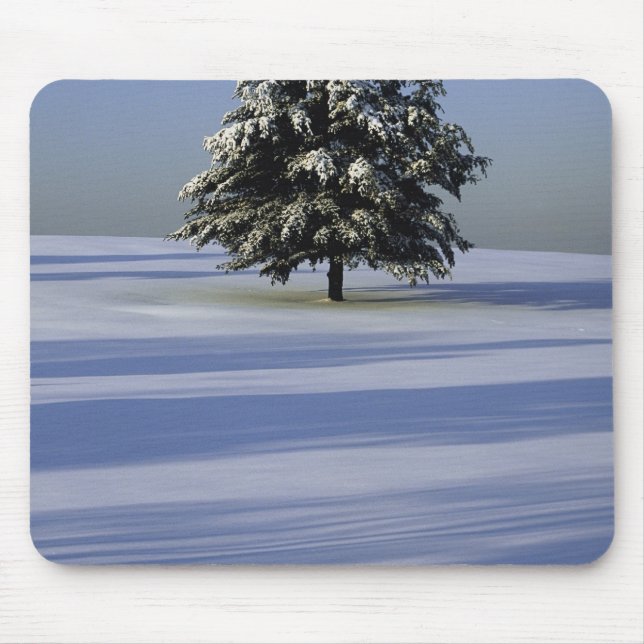 Tapis De Souris L'arbre dans la neige a couvert le paysage (Devant)