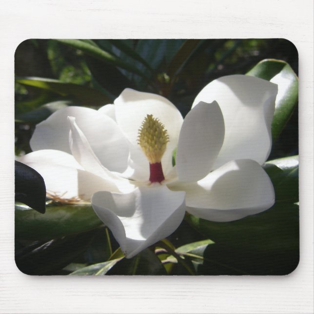 Tapis De Souris l'arbre de fleur de magnolia fleurit le mousepad (Devant)