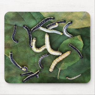 Tapis De Souris L'art photographique de Catalpa Worms