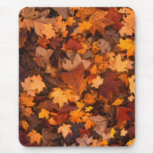 Tapis De Souris l'automne