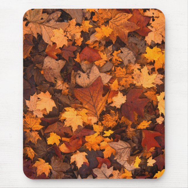 Tapis De Souris l'automne (Devant)