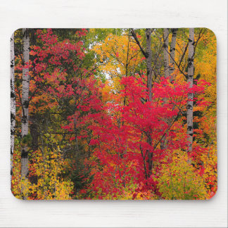 Tapis De Souris L'automne au Canada.