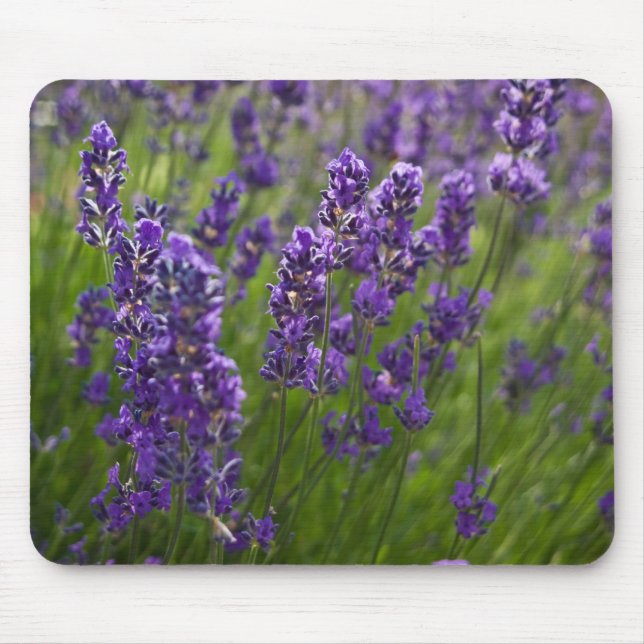 Tapis De Souris Lavendar | Lavendel (Devant)