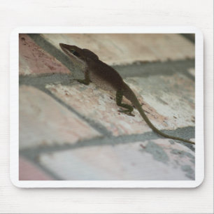 Tapis De Souris Lazy Lizard