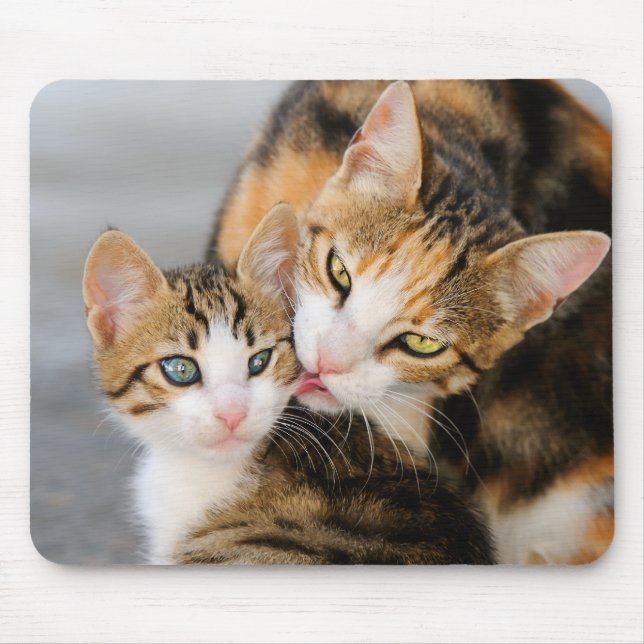Tapis De Souris Le chat de mère aime le chaton mignon (Devant)