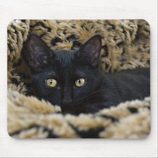 Tapis De Souris Le chaton noir