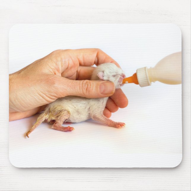 Tapis De Souris Le chaton nouveau-né est nourri avec une bouteille (Devant)