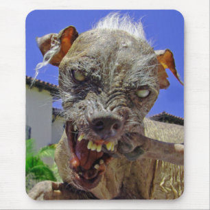 Tapis De Souris Le chien le plus mignon du monde