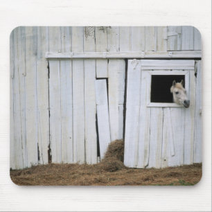 Tapis De Souris Le collage de cheval dirigent la fenêtre de grang