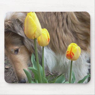 Tapis De Souris Le Collie et les Tulipes