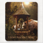 Le Collie, le garçon, et le puits - Drôle