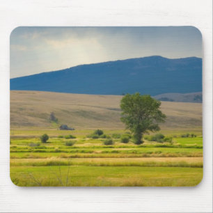 Tapis De Souris Le comté de Granite Montana