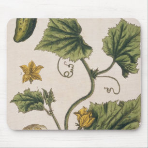 Tapis De Souris Le concombre de jardin, plaquent 4 "d'un de fines