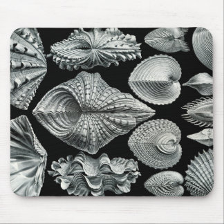 Tapis De Souris Le cru d'Ernst Haeckel écosse Mousepad