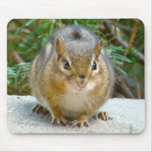 Tapis De Souris Le Cute Chipmunk A L'Oeil Sur Vous