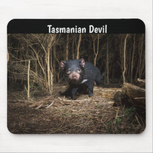 Tapis De Souris Le diable de Tasmanie en Australie