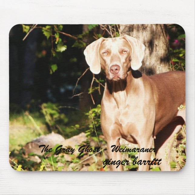 Tapis De Souris Le fantôme gris - Weimaraner, gingembre… (Devant)