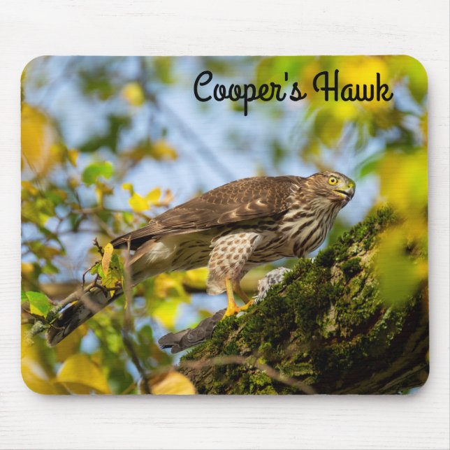 Tapis De Souris Le faucon de Cooper (Devant)