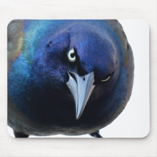 Tapis De Souris Le Grackle fâché (Devant)