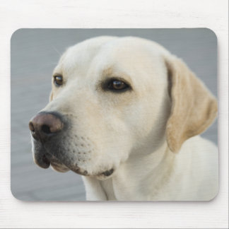 Tapis De Souris Le Labrador doré