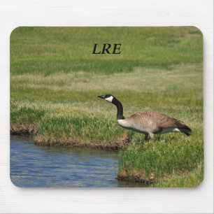 Tapis De Souris Le lac Riverside Estates Mousepad