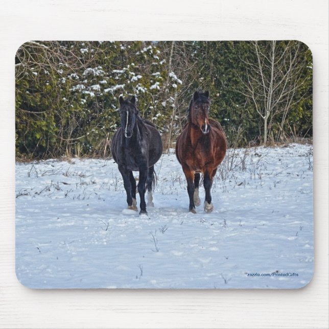Tapis De Souris Le magnifique animal équin de l'amoureux du cheval (Devant)
