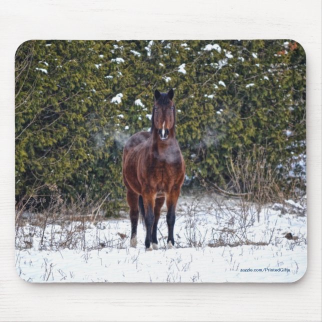 Tapis De Souris Le magnifique animal équin de l'amoureux du cheval (Devant)