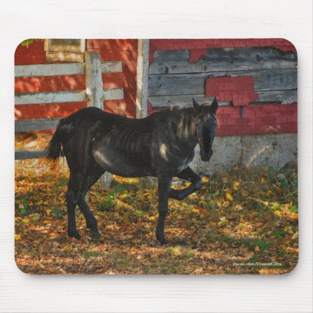 Tapis De Souris Le magnifique animal équin de l'amoureux du cheval (Devant)