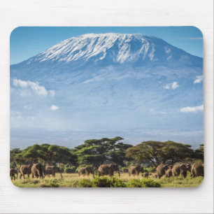 Tapis De Souris Le mont Kilimandjaro