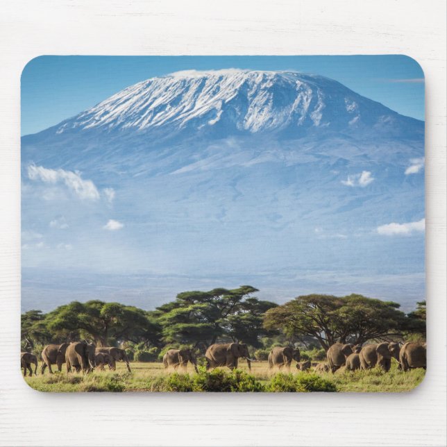 Tapis De Souris Le mont Kilimandjaro (Devant)