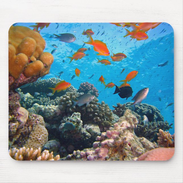 Tapis De Souris Le poisson sous-marin et le corail (Devant)