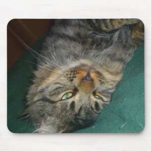 Tapis De Souris Le pourboire