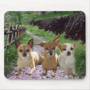 Tapis De Souris Le pourpre de chiwawa fleurit Mousepad