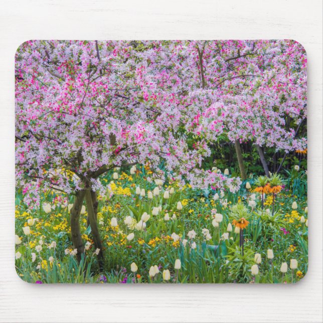 Tapis De Souris Le printemps dans le jardin de Claude Monet (Devant)