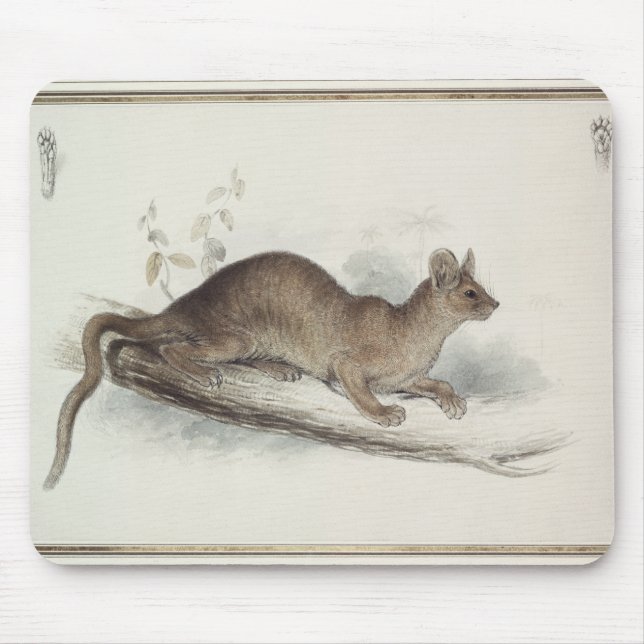 Tapis De Souris Le putois, 19ème siècle (Devant)