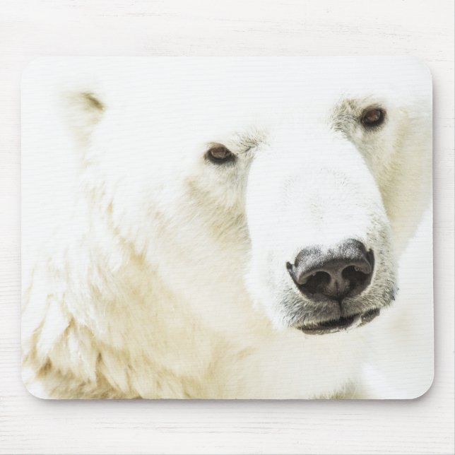 Tapis De Souris Le regard d'un ours polaire (Devant)